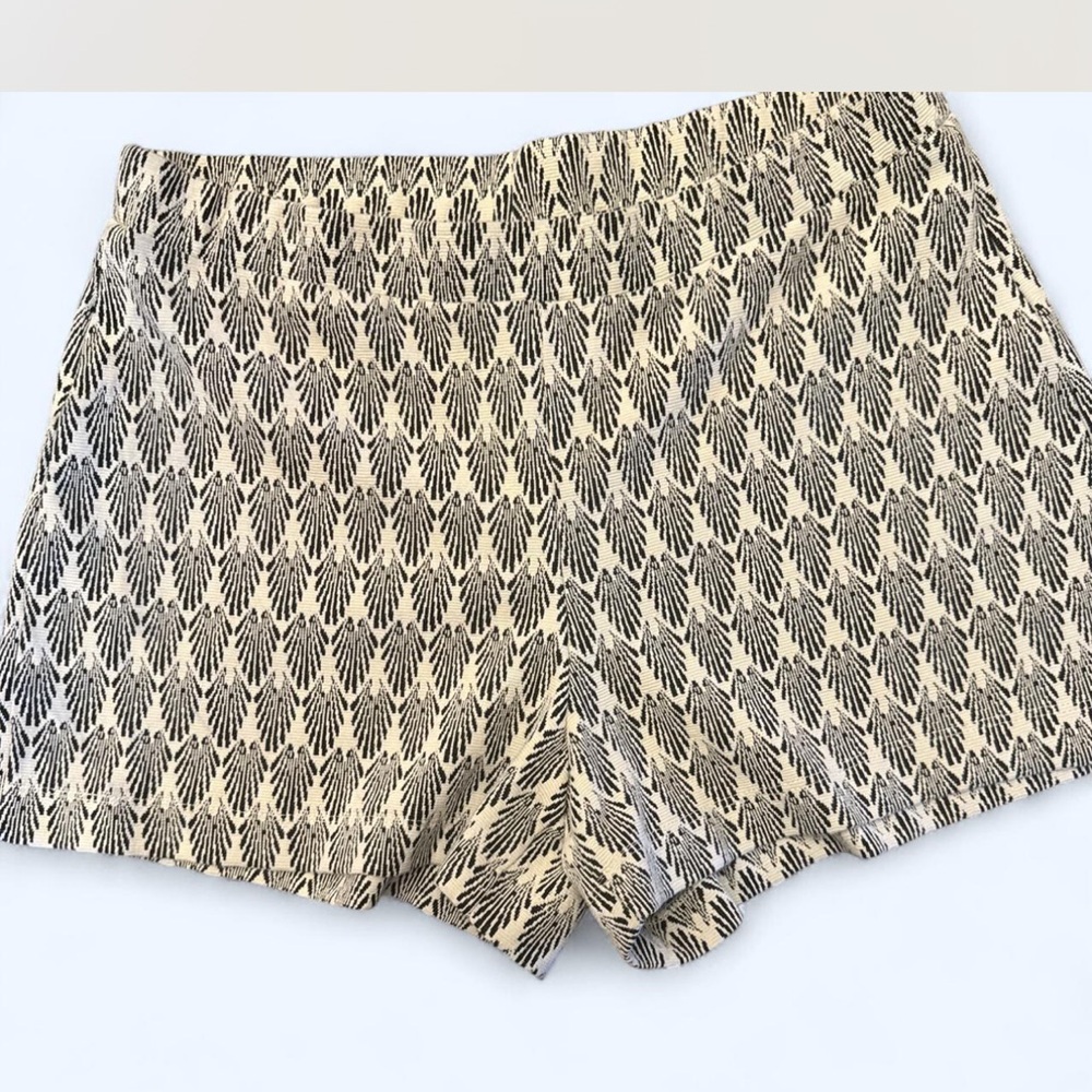 Zara Black and White High Waist Shorts